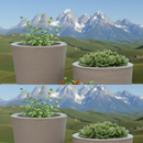 Kit 3 Vasos decorativo Bojo Diamante 3D Bacia Escovada Para Plantas Jardim Casa com prato coletor